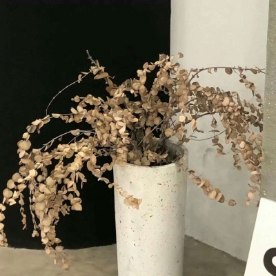 黄山FurryQQ群介绍